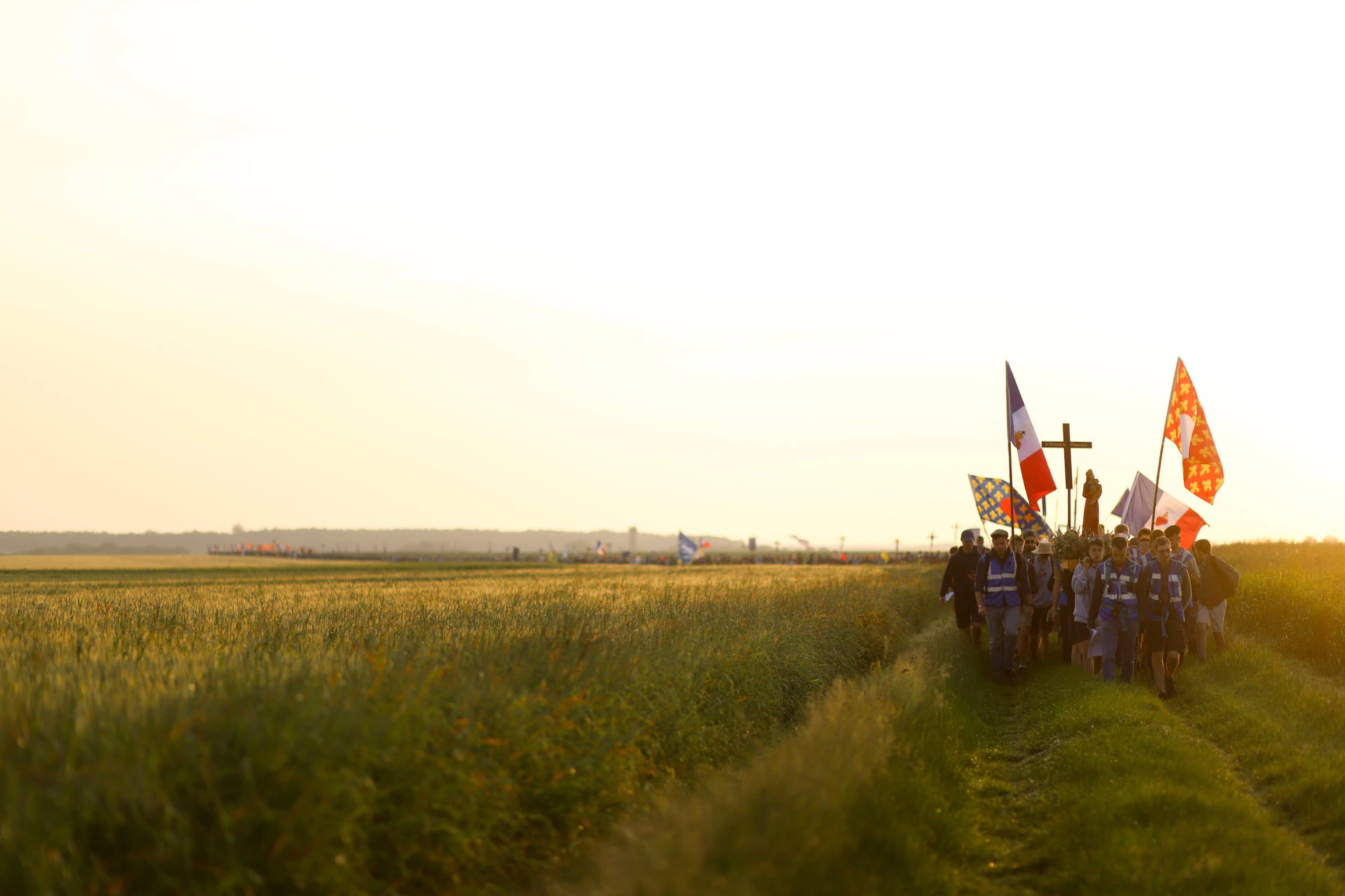 Eighteen thousand pilgrims make their way to Chartres through the French fields at sunrise during the 2024 Paris to Chartres pilgrimage.?w=200&h=150