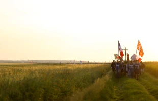 Eighteen thousand pilgrims make their way to Chartres through the French fields at sunrise during the 2024 Paris to Chartres pilgrimage. Credit: Notre-Dame de Chrétienté