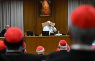 Pope Leo XIV addresses the College of Cardinals at the Vatican on May 10, 2025. The newly elected pontiff outlined his vision for his papacy in his first official meeting. Credit: Vatican Media