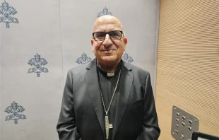 Archbishop Fernando Chomali of Santiago, Chile. Credit: Marco Mancini/ACI Stampa