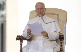 Pope Leo XIV speaks at a Wednesday audience with the public on June 11, 2025. Credit: Daniel Ibanez/CNA