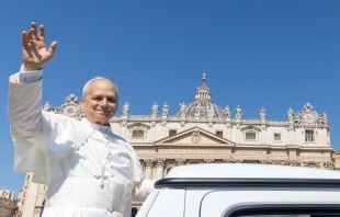 Pope Leo XIV waves from the popemobile at the crowds gathered in St. Peter's Square for Mass on Pentecost Sunday on June 8, 2025. Credit: Daniel Ibanez/CNA