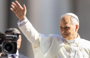 Pope Leo XIV greets pilgrims at the Wednesday general audience in St. Peter’s Square on Wednesday, June 25, 2025. Credit: Daniel Ibáñez/CNA