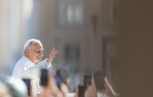 Pope Leo XIV waves to pilgrims at the Wednesday general audience in St. Peter's Square, Wednesday, June 25, 2025 Credit: Daniel Ibáñez/CNA