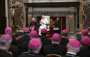 Pope Leo XIV address papal representatives on June 10, 2025, at the Vatican. Credit: Vatican Media