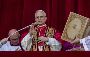 Pope Leo XIV waves to pilgrims in St. Pete’s Square shortly after his election on Thursday, May 8, 2025. Credit: Daniel Ibáñez/CNA