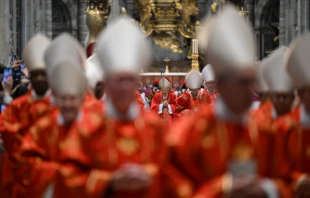 Cardinal electors in their distinctive red vestments attend the Mass for the election of the Supreme Pontiff at St. Peter's Basilica on May 7. Vatican Media