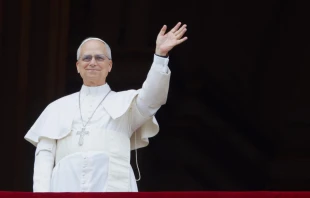 “Have no fear! Trust in the Lord” Pope Leo XIV waves at a massive, jubilant crowd gathered on St. Peter’ s Square for the Regina Coeli on Sunday, May 11, 2025 Credit: Daniel Ibáñez/CNA