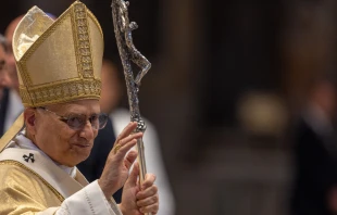 Pope Leo XIV greets the faithful in St. Peter's Basilica, May 31, 2025. Credit: Daniel Ibáñez/CNA