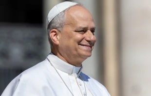 Pope Leo XIV smiles at the crowds at St. Peter’s Square on Sunday, June 1, 2025, gathered for the Jubilee of Families, Children, Grandparents, and the Elderly. Credit: Daniel Ibáñez/CNA