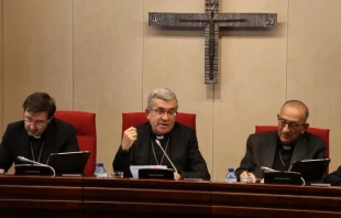 “Today we run the risk that our organizations, so dependent on the welfare state ... could be easily confused with a very bureaucratic NGO [nongovernmental organization],” said Archbishop Luis Argüello, president of the Spanish Bishops’ Conference. Credit: Spanish Bishops’ Conference