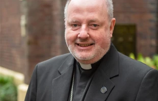 Bishop Anthony Ireland was appointed the new archbishop of Hobart in Tasmania, Australia, on June 20, 2025. Credit: Australian Catholic Bishops’ Conference