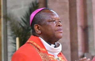 Cardinal Fridolin Ambongo,  the archbishop of Kinshasa in the Democratic Republic of Congo, asked President Donald Trump for aid to Africa an op-ed published in the Wall Street Journal on Sunday, June 8, 2025. Credit: François-Régis Salefran CC BY-SA 4.0 DEED