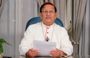 Cardinal Charles Bo of Yangon, Myanmar. Credit: ACI Prensa/EWTN News