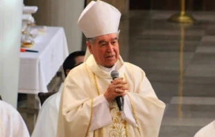 Cardinal Felipe Arizmendi is bishop emeritus of the Diocese of San Cristóbal de las Casas in Mexico. Credit: Mexican Bishops’ Commission on Seminaries and Vocations