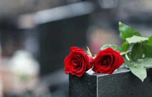 null Credit: Shutterstock