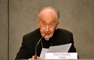 Cardinal Camillo Ruini answers questions at the Vatican press office on June 17, 2014. Credit: Daniel Ibáñez/CNA
