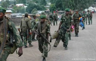 North and South Kivu have been embroiled in armed conflict for years. Credit: MONUSCO/Clara Padovan
