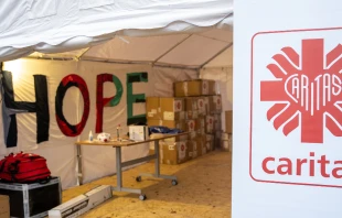 null Credit: Caritas Poland