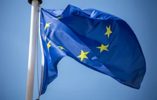 The flag of the European Union. Credit: U. J. Alexander/Shutterstock
