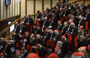 Cardinals gather for the fifth general congregation on April 28, 2025, at the Vatican. Credit: Vatican Media