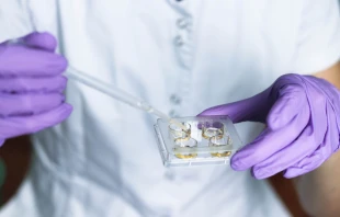 null Credit: Tati9/Shutterstock