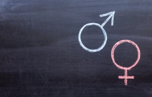 null Credit: Sergey Hramov/Shutterstock