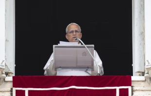 Pope Leo XIV speaks to pilgrims gathered in St. Peter’s Square for the Sunday Angelus on June 22, 2025. Credit: Vatican Media