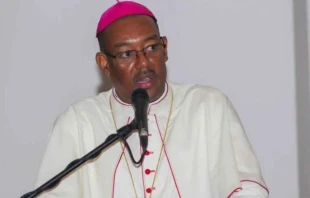 Archbishop Max Leroy Mésidor of Port-au-Prince. Credit: Salesian Priests of Haiti