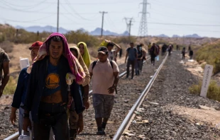 Migrants walk alongside the railroad tracks after dismounting from the “La Bestia” train, which they rode through Mexico to reach the Mexico-U.S. border near Chihuahua, Mexico. Credit: David Peinado Romero/Shutterstock