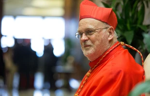 Cardinal Anders Arborelius of Stockholm at the consistory in St. Peter’s Basilica on June 28, 2017. Credit: Daniel Ibañez/CNA