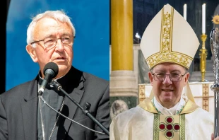 Cardinal Vincent Nichols, archbishop of Westminster, England (left), and Archbishop John Sherrington of Liverpool. Credit: Daniel Ibañez/CNA; SimeonMarcel, CC BY-SA 4.0, via Wikimedia Commons