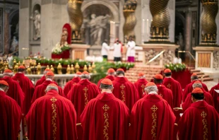 Cardinals participate in the fifth Novendiales Mass for Pope Francis on April 30, 2025, in St. Peter’s Basilica at the Vatican. Credit: Daniel Ibañez/CNA