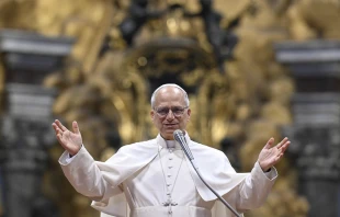 The pontiff warned of the risk of a superficial spiritual life “in an age of hyperconnectivity” in which it becomes increasingly “difficult to experience silence and solitude,” emphasizing that without an encounter with God, “we cannot even truly know ourselves.” Credit: Vatican Media