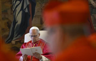 Pope Leo XIV presides over the first ordinary public consistory of cardinals of his pontificate on June 13, 2025, at the Apostolic Palace in the Vatican. Credit: Vatican Media