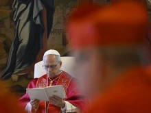 Pope Leo XIV presides over the first ordinary public consistory of cardinals of his pontificate on June 13, 2025, at the Apostolic Palace in the Vatican.
