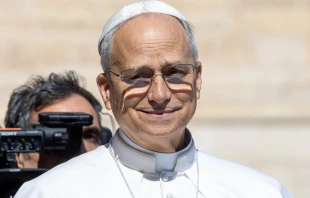 Pope Leo XIV smiles during his general audience on Wednesday, May 28, 2025, in St. Peter’s Square at the Vatican. Credit: Daniel Ibañez/CNA