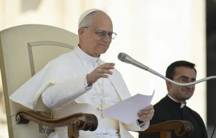 Pope Leo XIV addresses pilgrims gathered in St. Peter’s Square for his general audience on Wednesday, June 4, 2025. Credit: Vatican Media