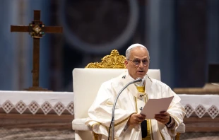 Pope Leo XIV delivers his homily during the solemnity of the Most Holy Trinity and the Jubilee of Sport on June 15, 2025, in St. Peter’s Basilica at the Vatican. Credit: Daniel Ibañez/CNA