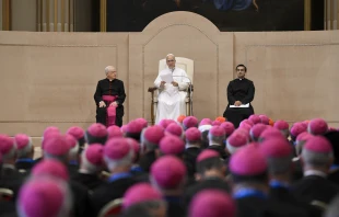 Pope Leo XIV addresses the Italian Bishops’ Conference on June 17, 2025, at the Vatican. Credit: Vatican Media