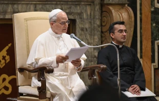 Pope Leo XIV addresses members of the Reunion of Aid Agencies for the Oriental Churches (ROACO by its Italian acronym) — the operational arm of the Holy See that provides assistance to the Eastern Churches — on June 26, 2025, at the Vatican. Credit: Vatican Media