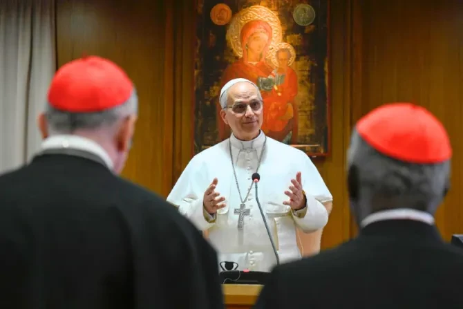 Pope Leo XIV speaks to cardinals in Rome on May 10, 2025.?w=200&h=150