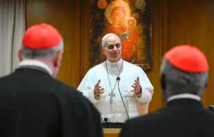 Pope Leo XIV speaks to cardinals in Rome on May 10, 2025. Credit: Vatican Media