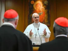 Pope Leo XIV speaks to cardinals in Rome on May 10, 2025.