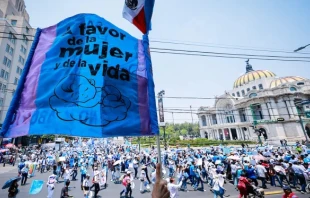 Thousands participate in the March for Life on May 3, 2025, in Mexico City. Credit: Courtesy of Steps for Life