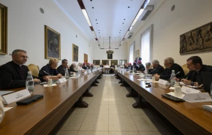 Pope Leo XIV meets with the synod’s 16th ordinary council near the Vatican on Thursday, June 26, 2025. Credit: Vatican Media