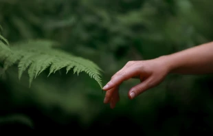 null Credit: Tatiana Beschastnova/Shutterstock