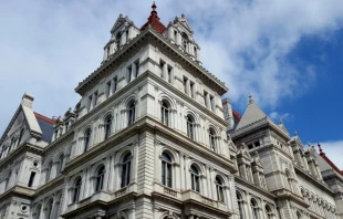 The New York state capitol in Albany. Credit: Nina Alizada/Shutterstock