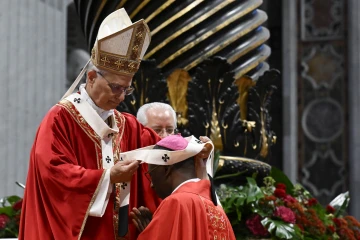 Pope Sunday Angelus June 29