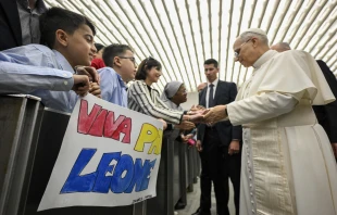 Pope Leo XIV meets employees of the Holy See and their families in the Paul VI Hall at the Vatican on Saturday, May 24, 2025. Credit: Vatican Media